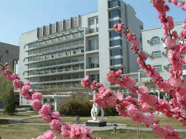 操J吧